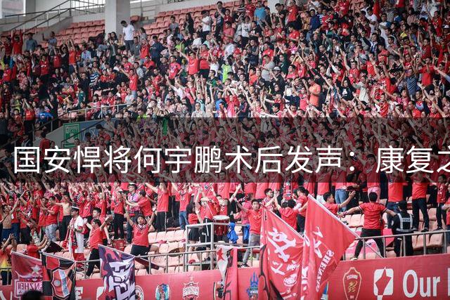国安悍将何宇鹏术后发声：康复之路再遇挫折 赛季仅出战3场