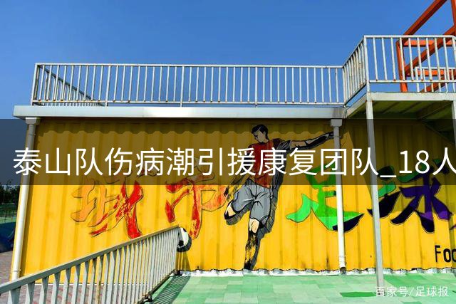 泰山队伤病潮引援康复团队 18人合练暴露阵容危机